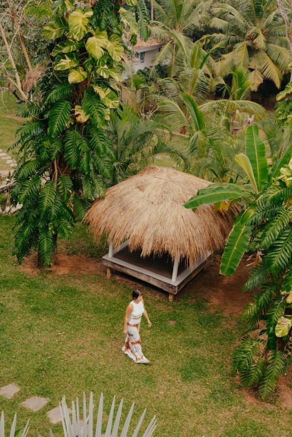 Hotel Kirinuga Boutique Retreat Tangalle Zewnętrze zdjęcie